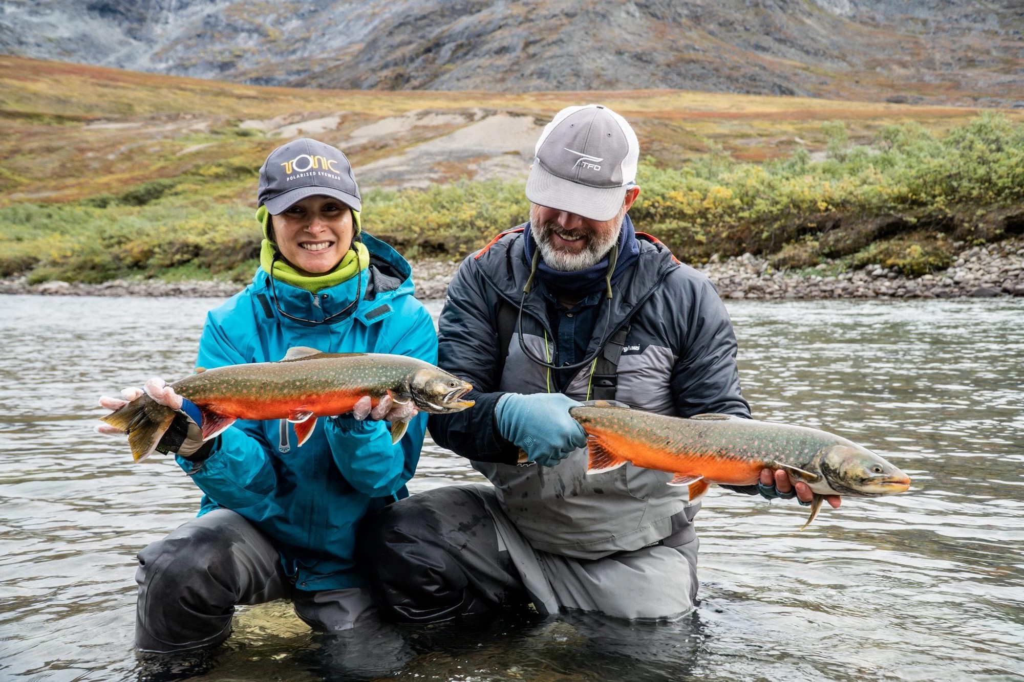 Greenland Arctic Char