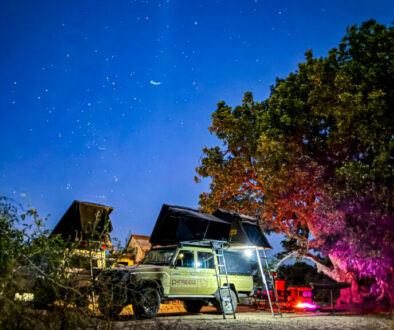 Chobe-4x4-23